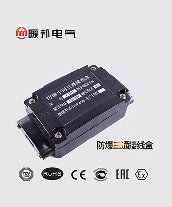 <b>FTH防爆三通接线盒</b>